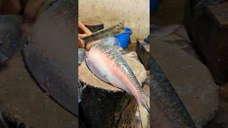 Amazing Hilsa Fish Cutting Skills In Bangladesh Local Fish Market Part6 shorts [upl. by Atnim]