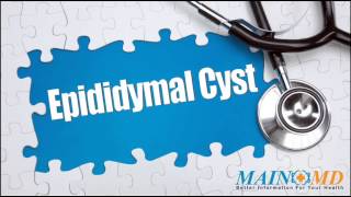 Epididymal Cyst ¦ Treatment and Symptoms [upl. by Martens750]