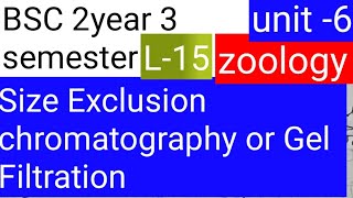 BSC 2nd year 3 semester zoology topic Size Exclusion chromatography o Gel filtration [upl. by Ellerehc]