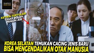 MUNCULNYA WABAH BARU YANG LEBIH MENGERIKAN  Alur Film DERANGED 2012 [upl. by Aihtenyc]