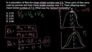 How to calculate realized heritability [upl. by Aiset477]