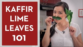 Ultimate Guide to Makrut kaffir Lime Leaves  Hot Thai Kitchen [upl. by Leopoldeen]