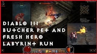 Diablo 3  The Darkening of Tristram event  Butcher pet [upl. by Doowrehs]