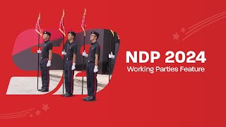 NDP 2024  Working Parties Feature [upl. by Danika]