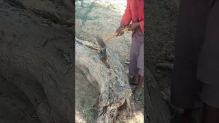 Cutting wood with hammer power [upl. by Nefen]