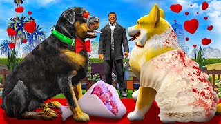 CHOP Gets MARRIED In GTA 5 Mods [upl. by Ueik]