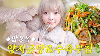 5년 연속 미쉐린 가이드가 인정한 양지곰탕  초아의 최애국밥집 ep3 [upl. by Huebner]