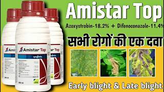 Amistar top syngenta  Amistar top  Amistar top fungicide [upl. by Nassir]