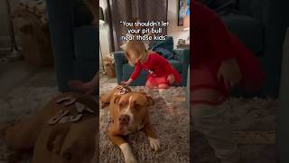 Things People Have Said About My Pit Bull l The Dodo pets animals dog [upl. by Drofniw999]