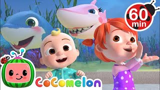 Baby Shark  Cocomelon  Nursery Rhymes  1 HOUR [upl. by Dyraj]