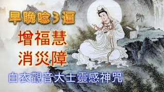 早晚唸3次增福慧、消災障《白衣觀音大士靈感神咒》佛曲、佛歌 [upl. by Lav33]