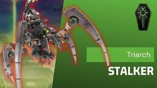 7 Important Questions Before Using The Necrons Triarch Stalker [upl. by Isyak]