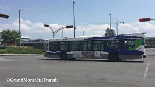 Bus de la STL Laval en action au Terminus Cartier [upl. by Nigen]