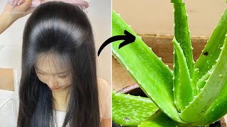 The TRUTH About Aloe Vera Hair Masks [upl. by Altman132]