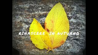 Rinascere In Autunno  Alex De Simoni [upl. by Bertolde]