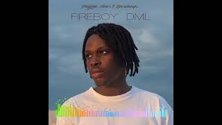 Fireboy DML  Like I Do Audio [upl. by Newg]