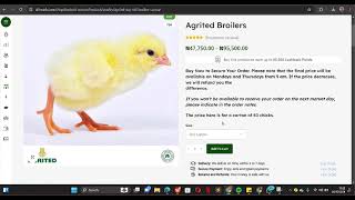 How to Order Dayoldchick on Afrimash website [upl. by Lynna]