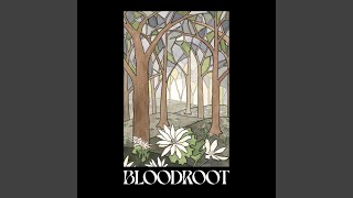 Bloodroot [upl. by Ttehr]