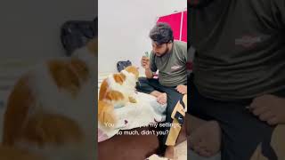 Meri setting kharab karke Billu tumne achcha nahin kiya 😂🤣catlovercatshortsshortvideosubscribe🤣🤣 [upl. by Liag]