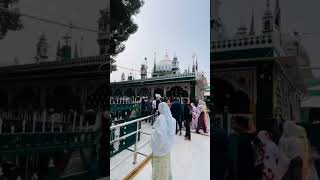 Dargah ❤️ sabirpaak kaliyarsarif mashallaha subhanallaah like comment share viralshort [upl. by Nnylirak]