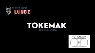 Tokemak  Toke Wars Incoming [upl. by Anitteb]