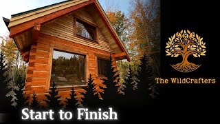 Building a Dovetail Log Cabin  Start to Finish  One Man [upl. by Alvira]