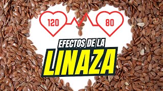 Estudio Confirma Beneficios De La Linaza Contra La Hipertensión y el Colesterol [upl. by Yorgerg]