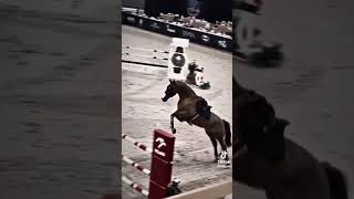 horse horseplay horsesports equestrian horseshow horseracing edit [upl. by Airdnaxila944]