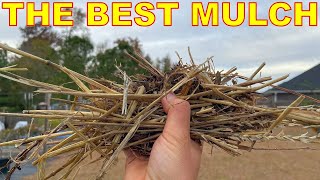 This Is The BEST MULCH For Your Garden [upl. by Avrom]