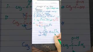 Mechanism of formation of ester organic chemistry class 12 [upl. by Oahc]