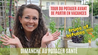 Tour du Potager avant de partir en vacances  trucs et astuces potager jardin garden gardening [upl. by Onateag]