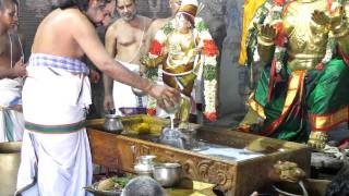 Thirumanjanam Sri Vidhya RajaGopala Swamy Mannargudi [upl. by Emmy]