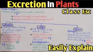 Excretion In Plants  Excretophore  Class 12 Biology [upl. by Mlawsky]