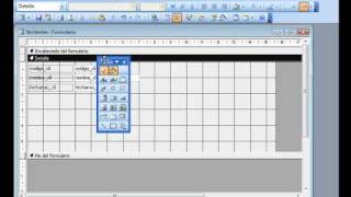 Access 2003 Insertar calendario en un formulario  wwwofimaticaparatorpescom [upl. by Oribelle341]