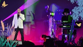 Pet Shop Boys  Always On My Mind Radio 2 Live in Hyde Park 2019 [upl. by Ekram]