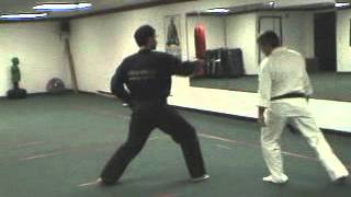 Kata Breakdown 2 Shi Ho Hai  Douvris Martial Arts amp Fitness [upl. by London]