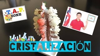 Como es el proceso de la cristalización  TAP ZONE [upl. by Aratal942]