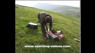 Simon Whitehead Ferreting with lurchers and longnets in Cumbria [upl. by Mills]