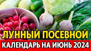 Когда сеять сажать в ИЮНЕ Лунный посевной календарь на июнь 2024 календарь огородника [upl. by Chastain]