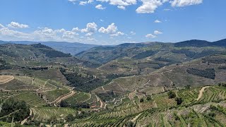 Douro Valley Wine Tour from Porto Portugal [upl. by Ennazzus]