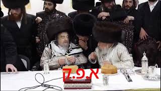 R Yakov Meir Shechter Mohel In Trebishan  Pinsk Karlin Sukkos 5785 [upl. by Hafirahs949]