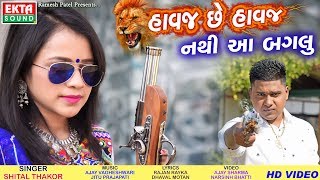 Havaj Chhe Havaj Nathi Aa Baglu  Shital Thakor  HD Video  Ekta Sound [upl. by Mossberg]