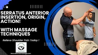 Mastering the Serratus Anterior Insertion Origin and Action for Massage Therapists [upl. by Hen]