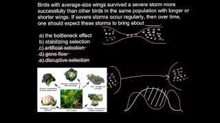 What is stabilizing selection [upl. by Collum691]