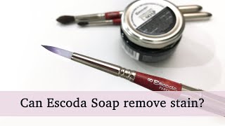 Escoda Vegetable Soap Brush Cleaner amp Preserver  Clean and remove brush stains Review [upl. by Enilrahc]