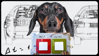 Dog vs Time Machine Cute amp funny dachshund dog video [upl. by Viens998]