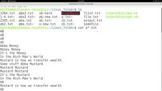 Linux Tutorial Series  56  Shell globbing aka wildcards [upl. by Lyrrad]