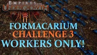 Formicarium Challenge 3 Workers Only 1st in the World [upl. by Atekin574]