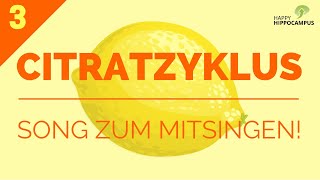 Citratzyklus Song Citratzyklus lernen mit Eselsbrücken 33  Biochemie  HappyHippocampus [upl. by Albion881]