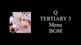 TERTIARY 3 Menu [upl. by Carolan]